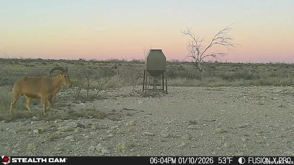 a view of a fireplace in middle