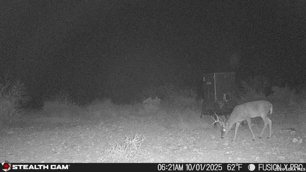 a view of city and ocean