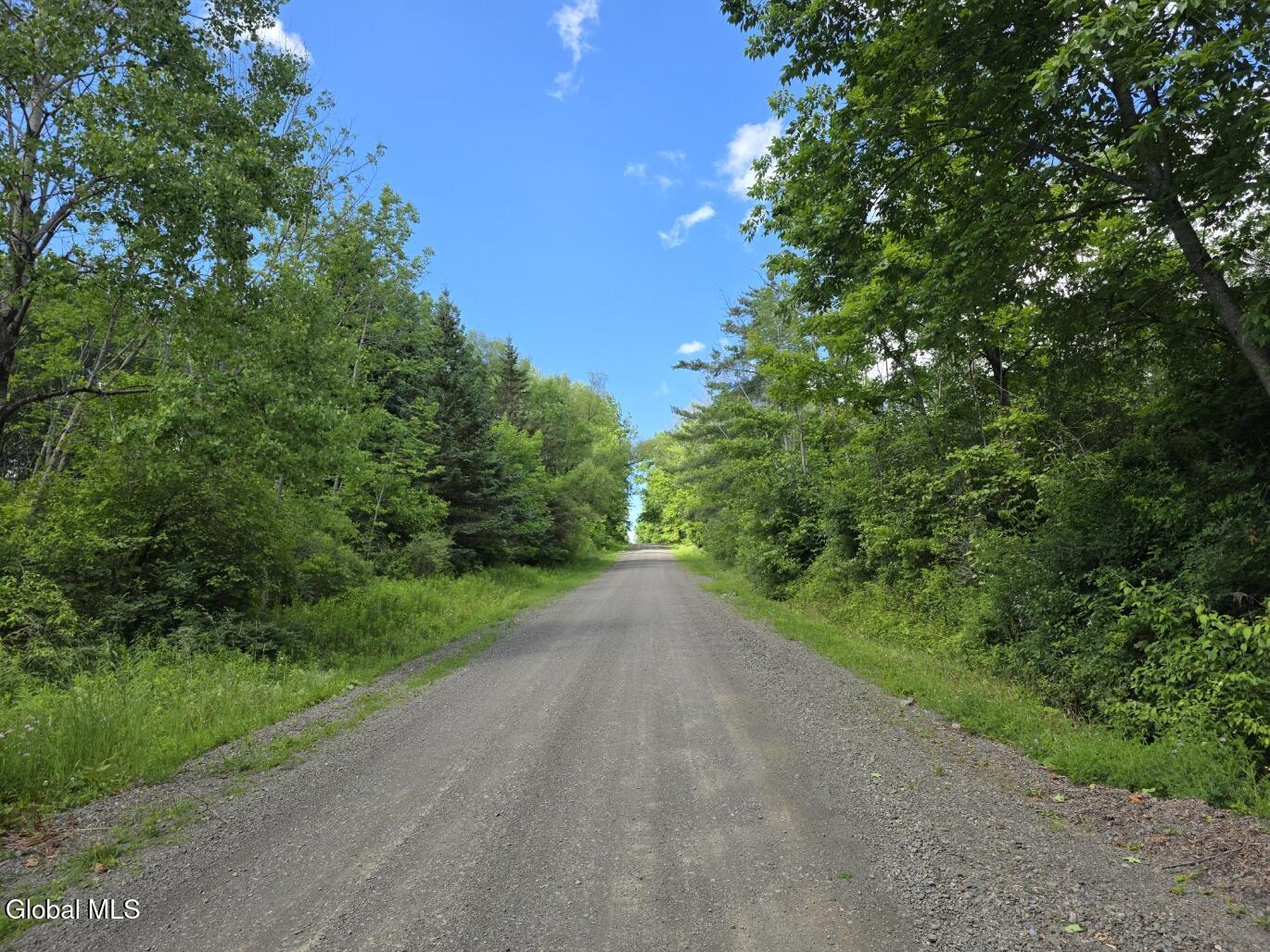 419 Halbert Hill Road Butternuts, NY 13843 - Photo 48 of 48 20260624_104905