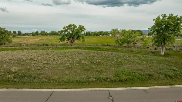a view of a lake with a big yard