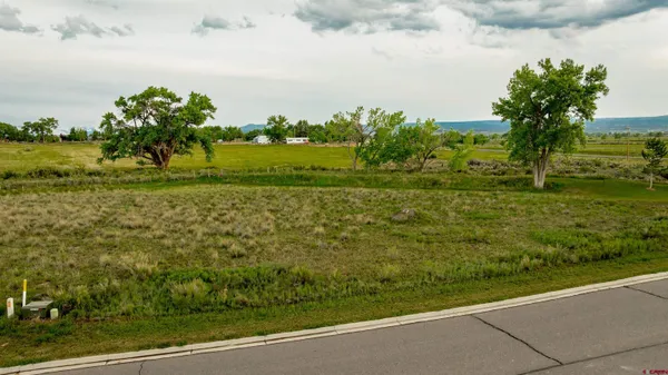 a view of a field with an trees