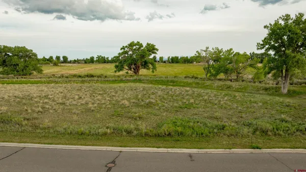 a view of a lake with a big yard