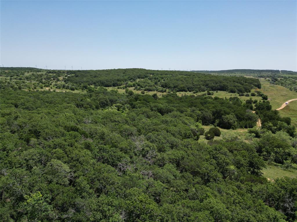 232-acres Tbd 232-acres Tbd Nash Road Jacksboro, TX 76458 - Photo 14 of 30 an aerial view of residential houses with outdoor space and trees