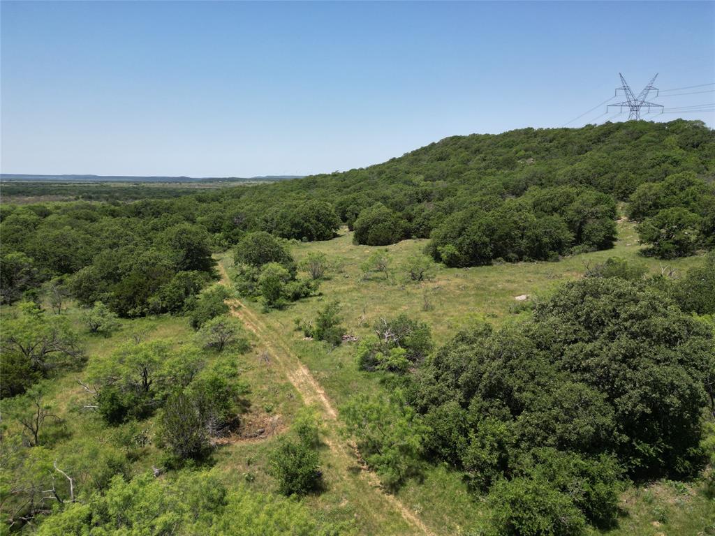 232-acres Tbd 232-acres Tbd Nash Road Jacksboro, TX 76458 - Photo 15 of 30 a view of a lush green forest with lots of trees
