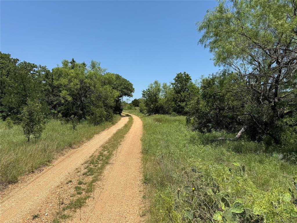 232-acres Tbd 232-acres Tbd Nash Road Jacksboro, TX 76458 - Photo 16 of 30 a view of a lake with a yard and large trees