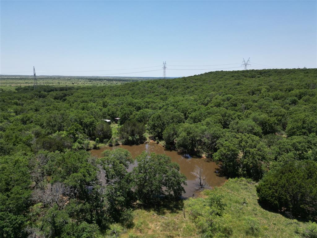 232-acres Tbd 232-acres Tbd Nash Road Jacksboro, TX 76458 - Photo 27 of 30 a view of a green field with lots of bushes