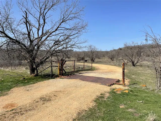 a view of a yard with trees