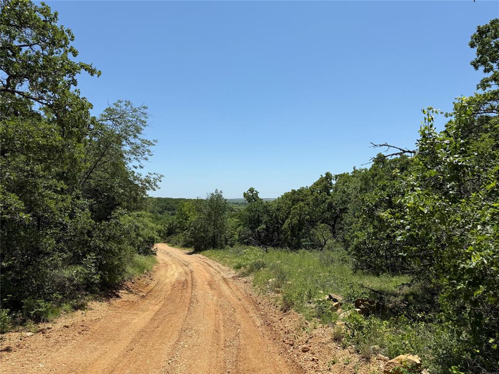 232-acres Tbd 232-acres Tbd Nash Road Jacksboro, TX 76458 - Photo 9 of 30 a view of a yard