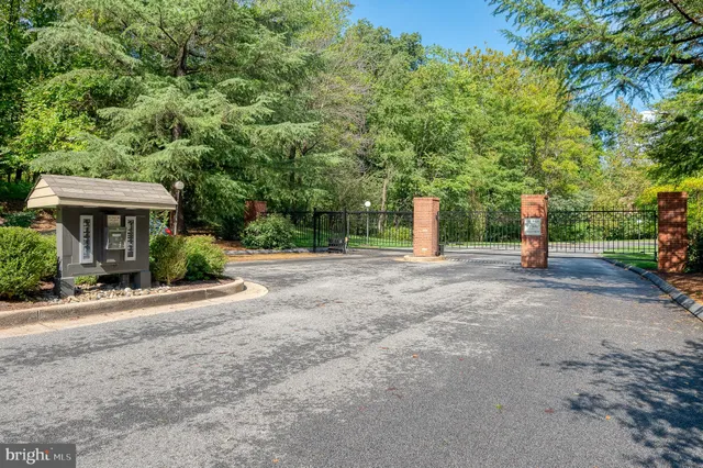 a view of a street with trees and houses