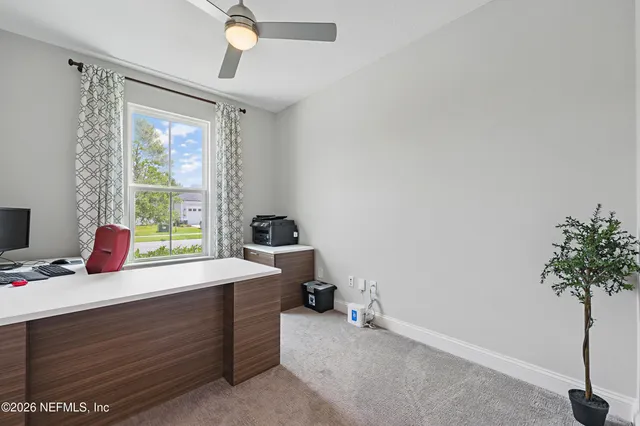 a room with a window bed and potted plant