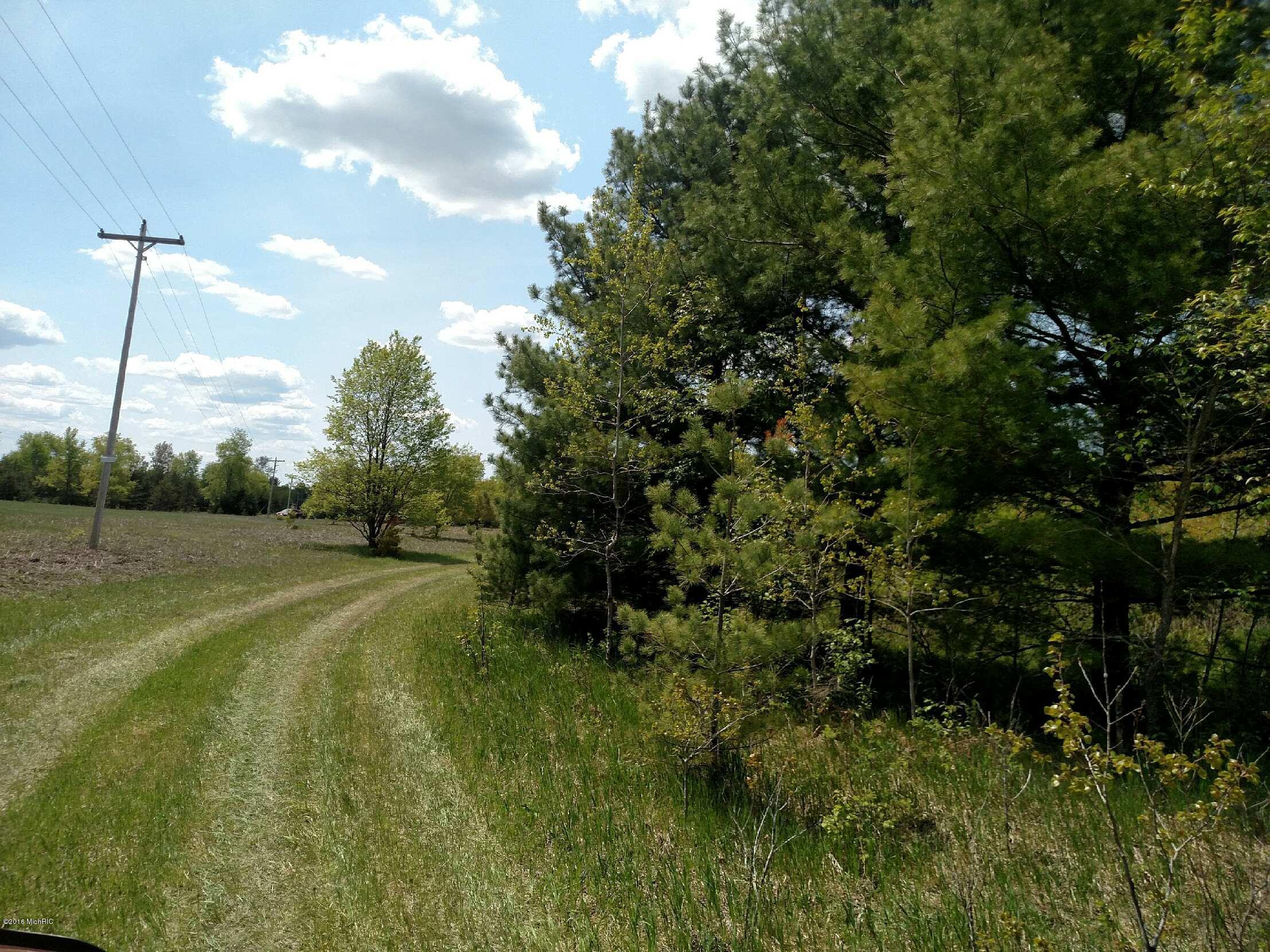0 Potter Road Kaleva, MI 49645 - Photo 8 of 11 IMG_1084 - Copy
