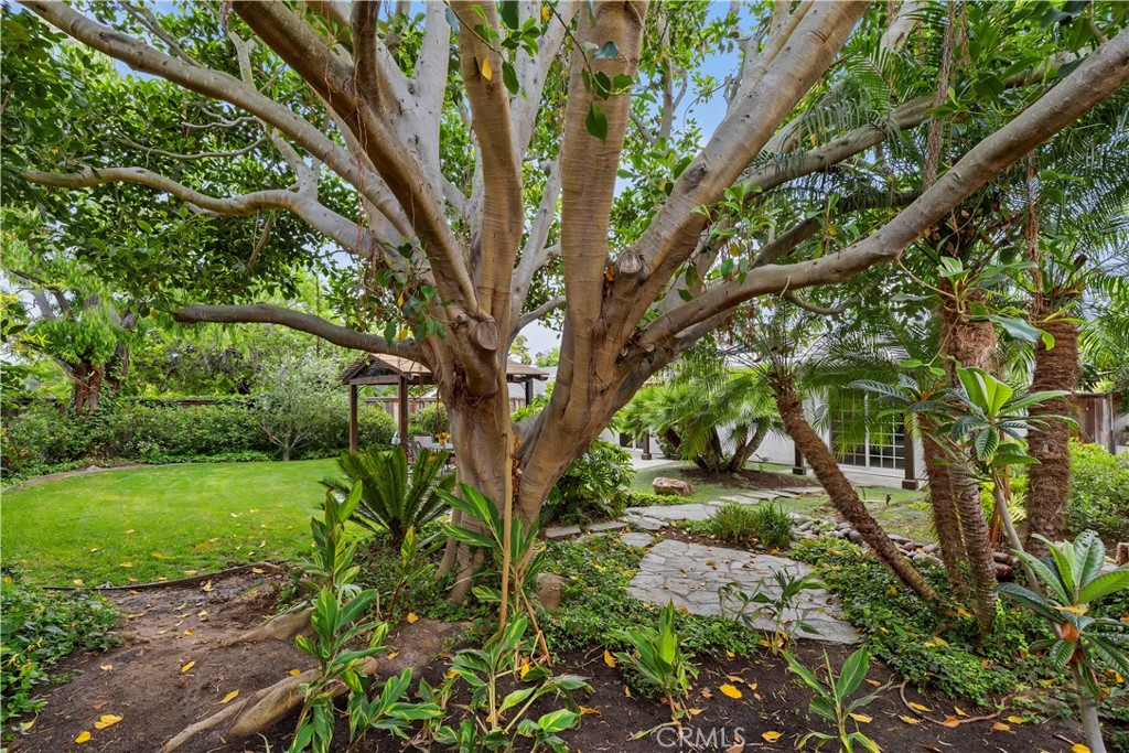 129 5 Crowns Way Encinitas, CA 92024 - Photo 34 of 43 corner view of property with mature trees