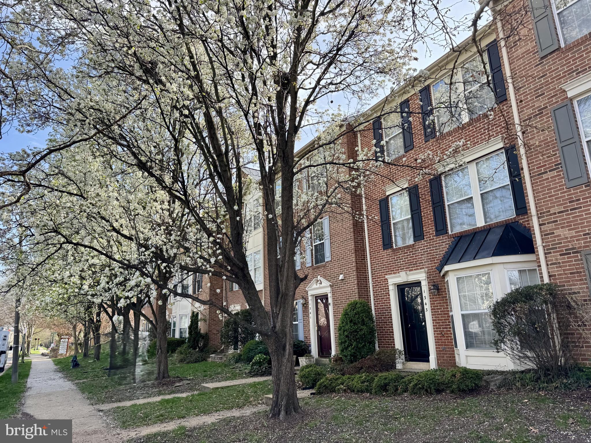 1343 Argall Place Alexandria, VA 22314 - Photo 32 of 35 Spring blooms on Powhatan Street