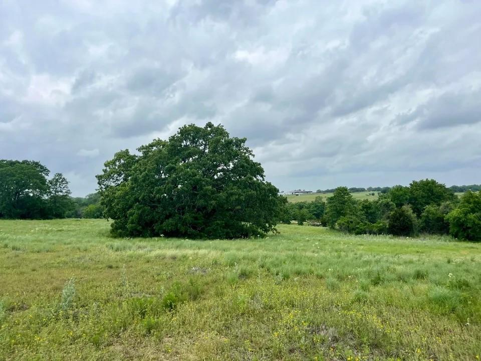 Lot 14 Arlow Road Poolville, TX 76487 - Photo 1 of 3 View of nature with a rural view