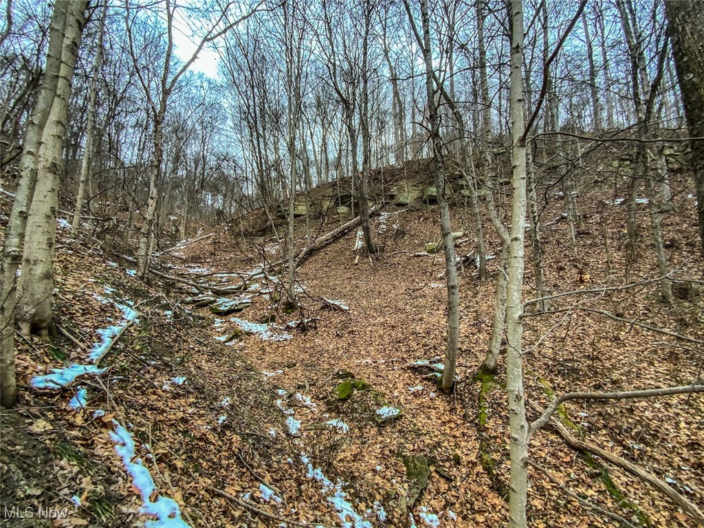 0 Trough Run Road Bellaire, OH 43906 - Photo 10 of 46 View of undeveloped land