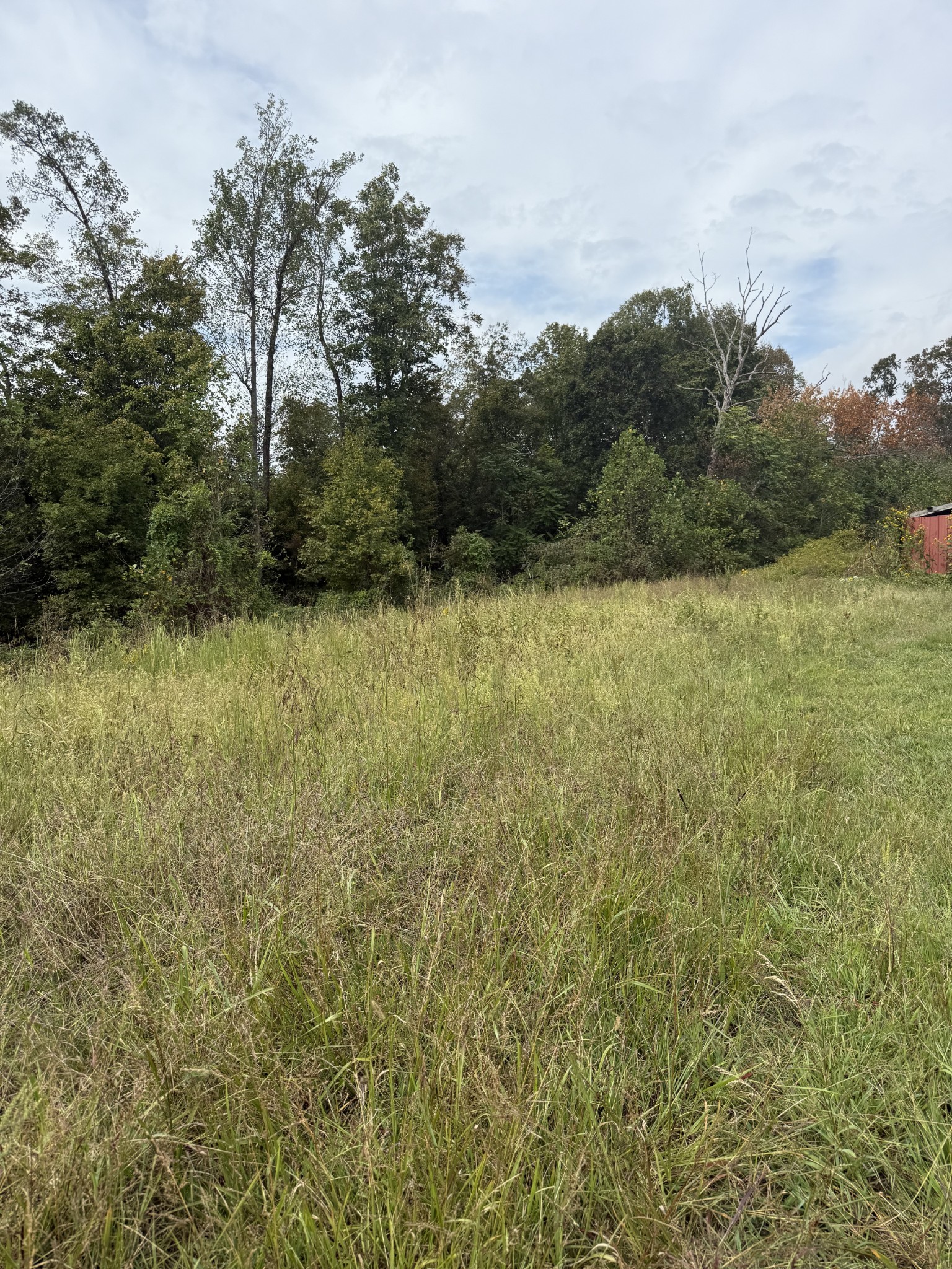 80 Manion Road Lafayette, TN 37083 - Photo 13 of 15 a view of outdoor space and trees