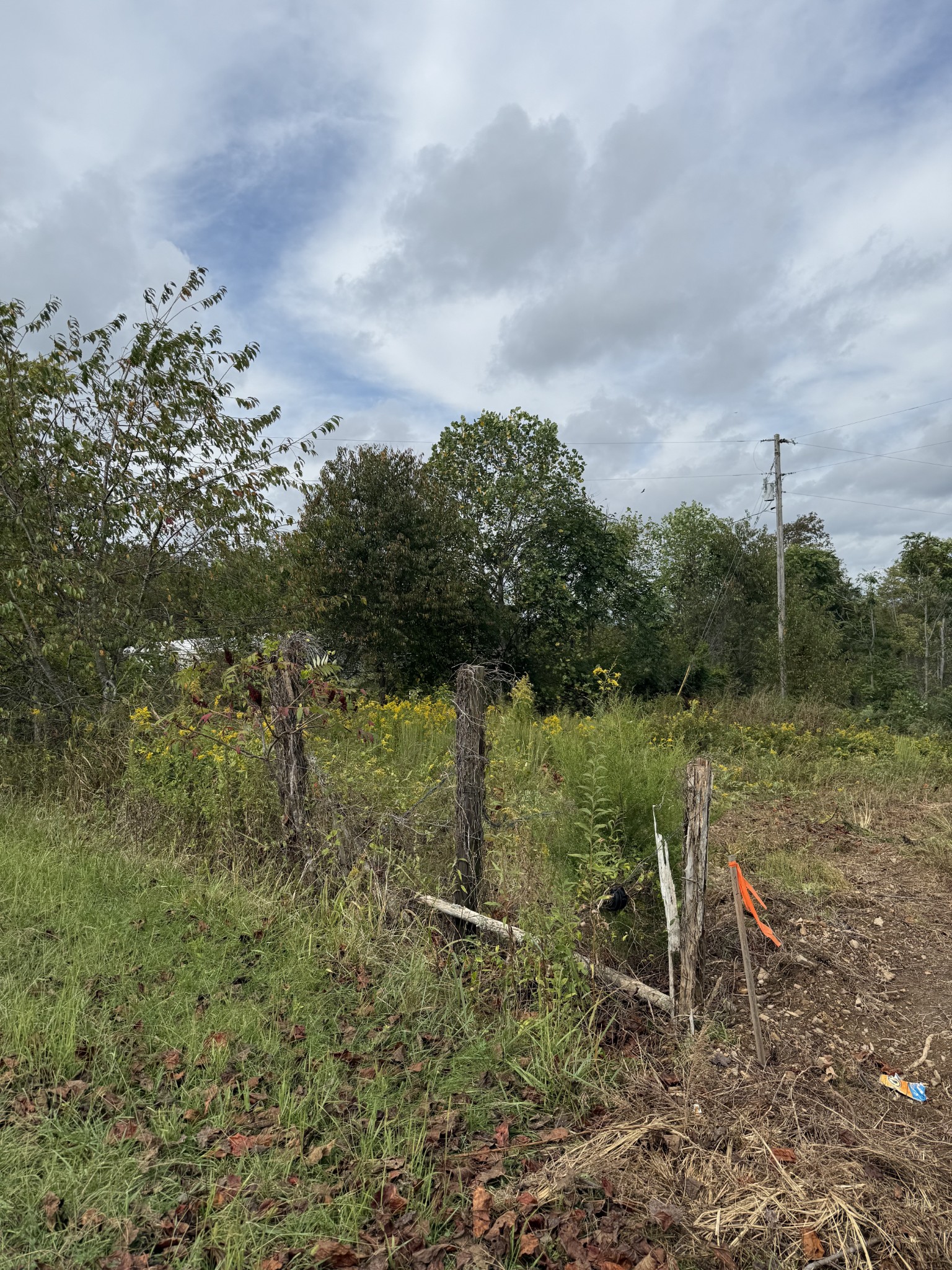 80 Manion Road Lafayette, TN 37083 - Photo 9 of 15 a backyard of a house with lots of green space