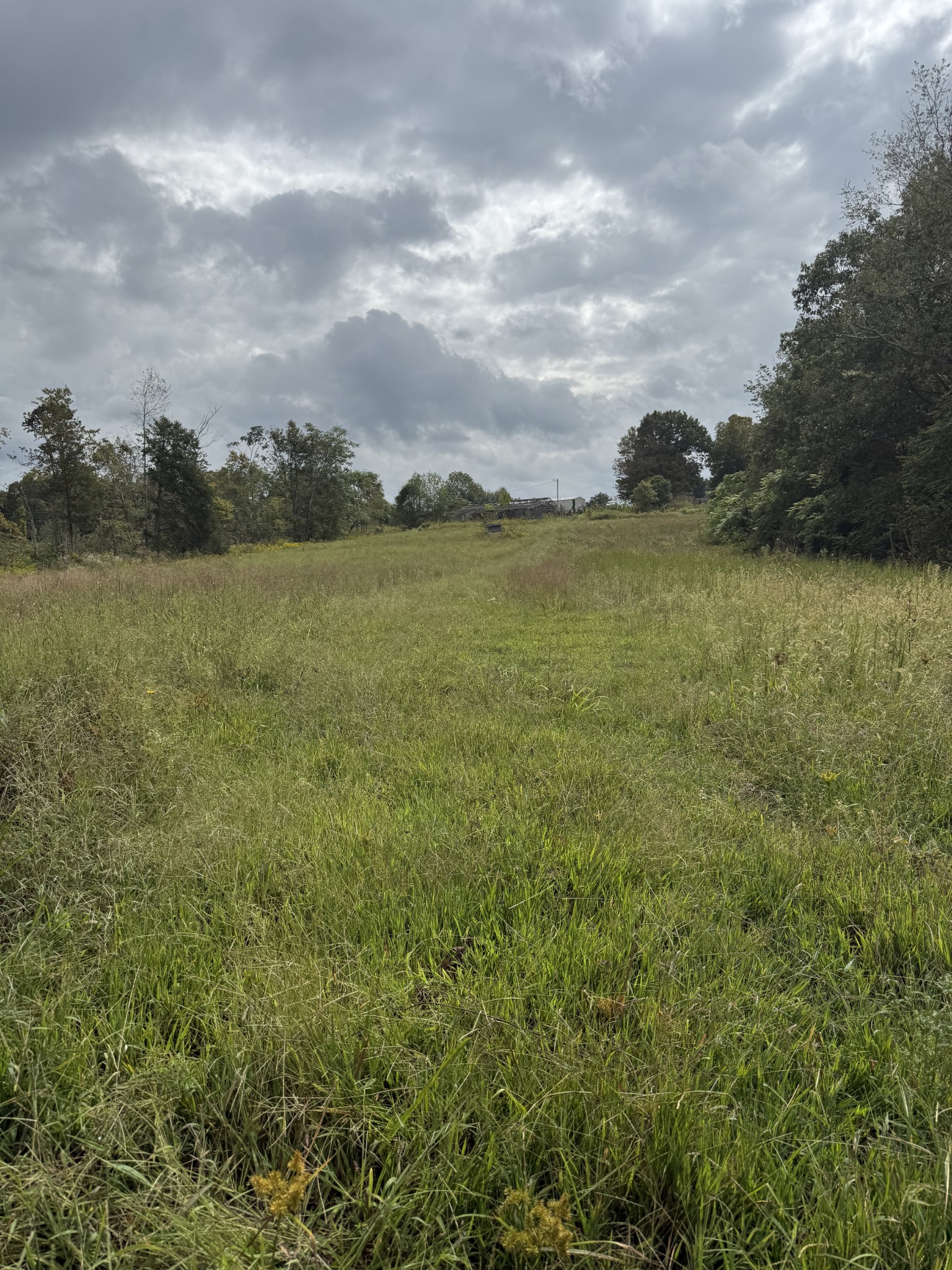 80 Manion Road Lafayette, TN 37083 - Photo 10 of 15 a view of a lake and mountain