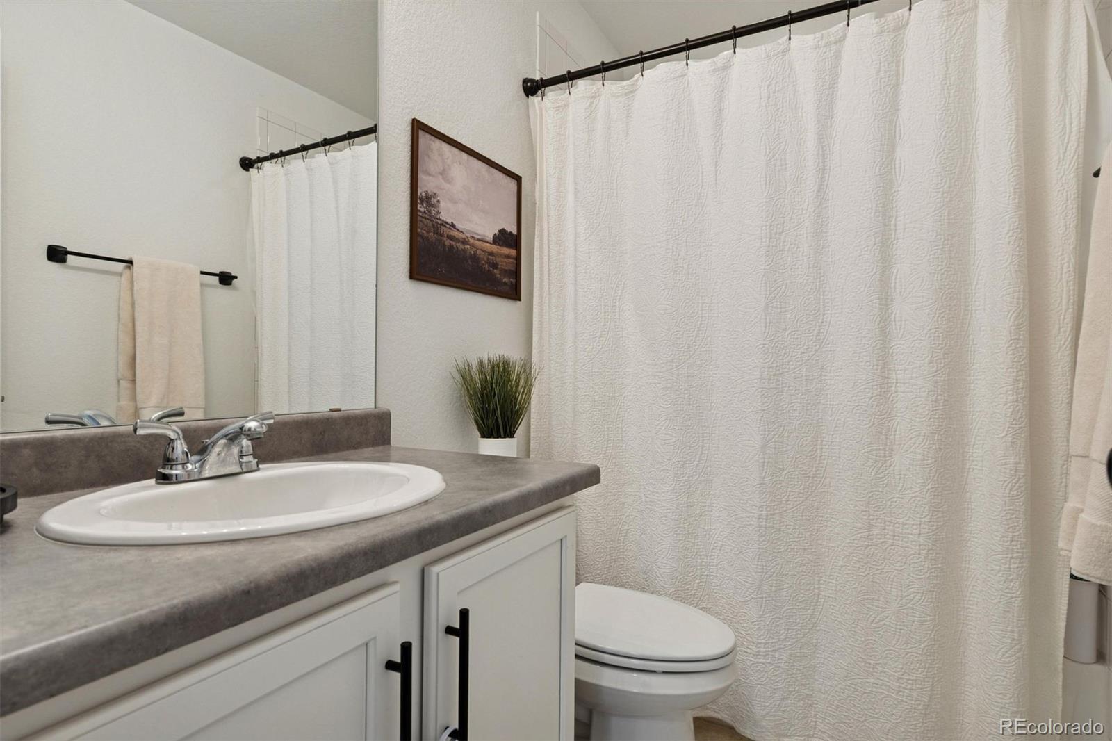 9152 Rio Blanco Street Littleton, CO 80125 - Photo 31 of 41