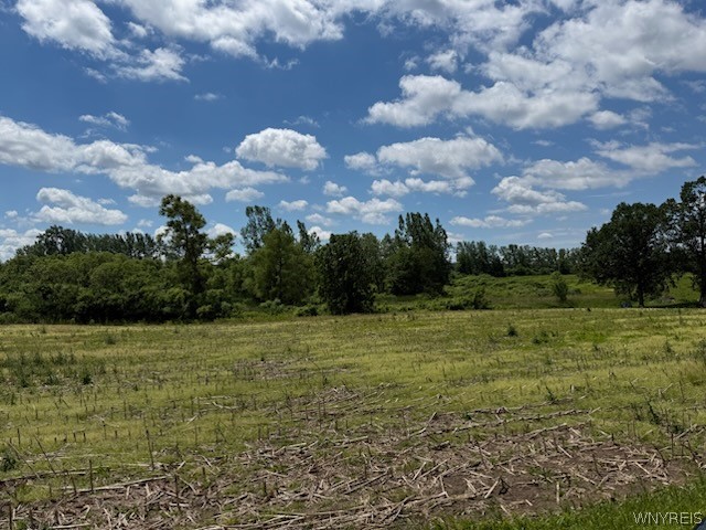Drake Road Oakfield, NY 14125 - Photo 7 of 8