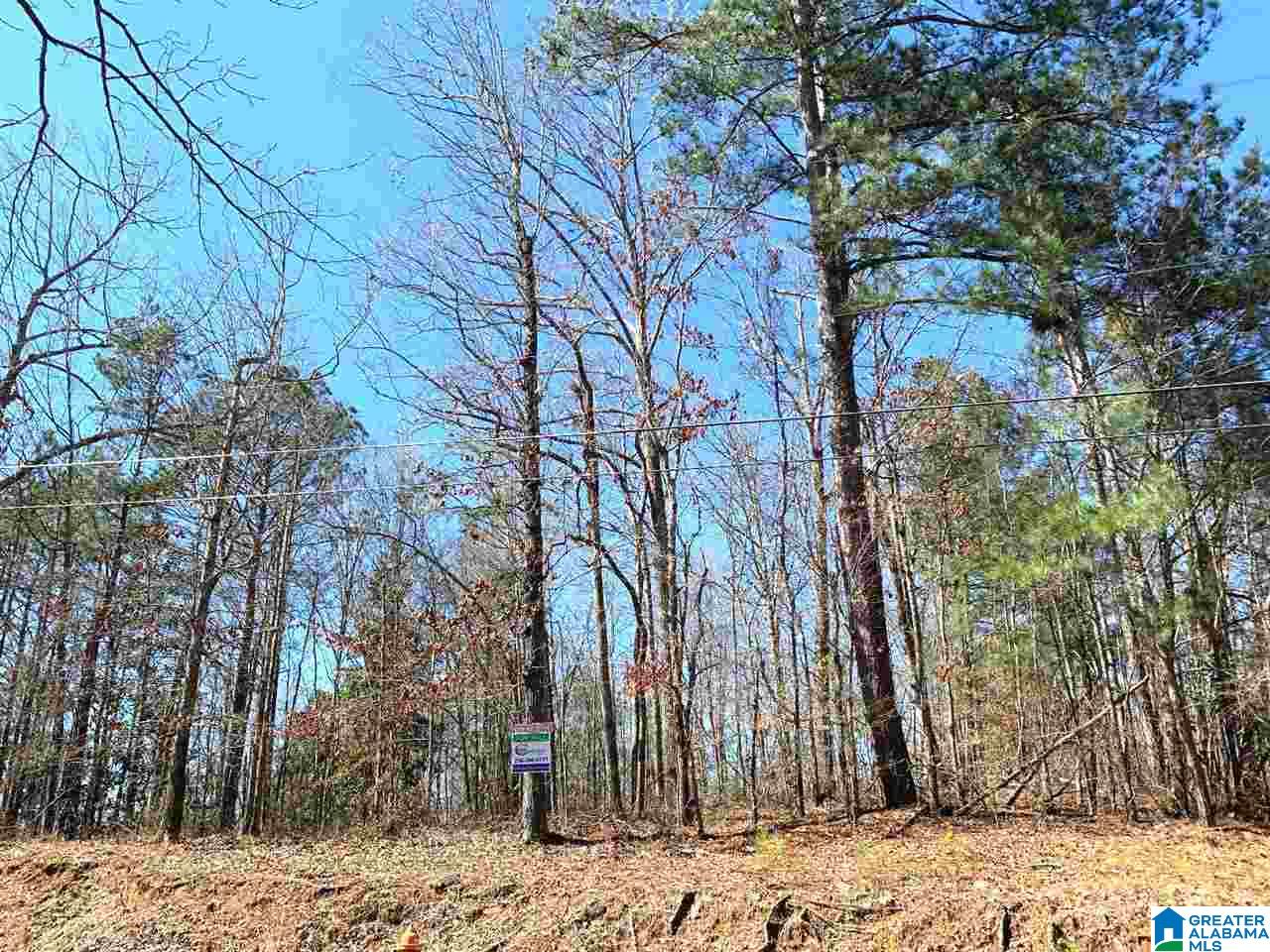 Hillcrest Street, Unit 1 Heflin, AL 36264 - Photo 4 of 7