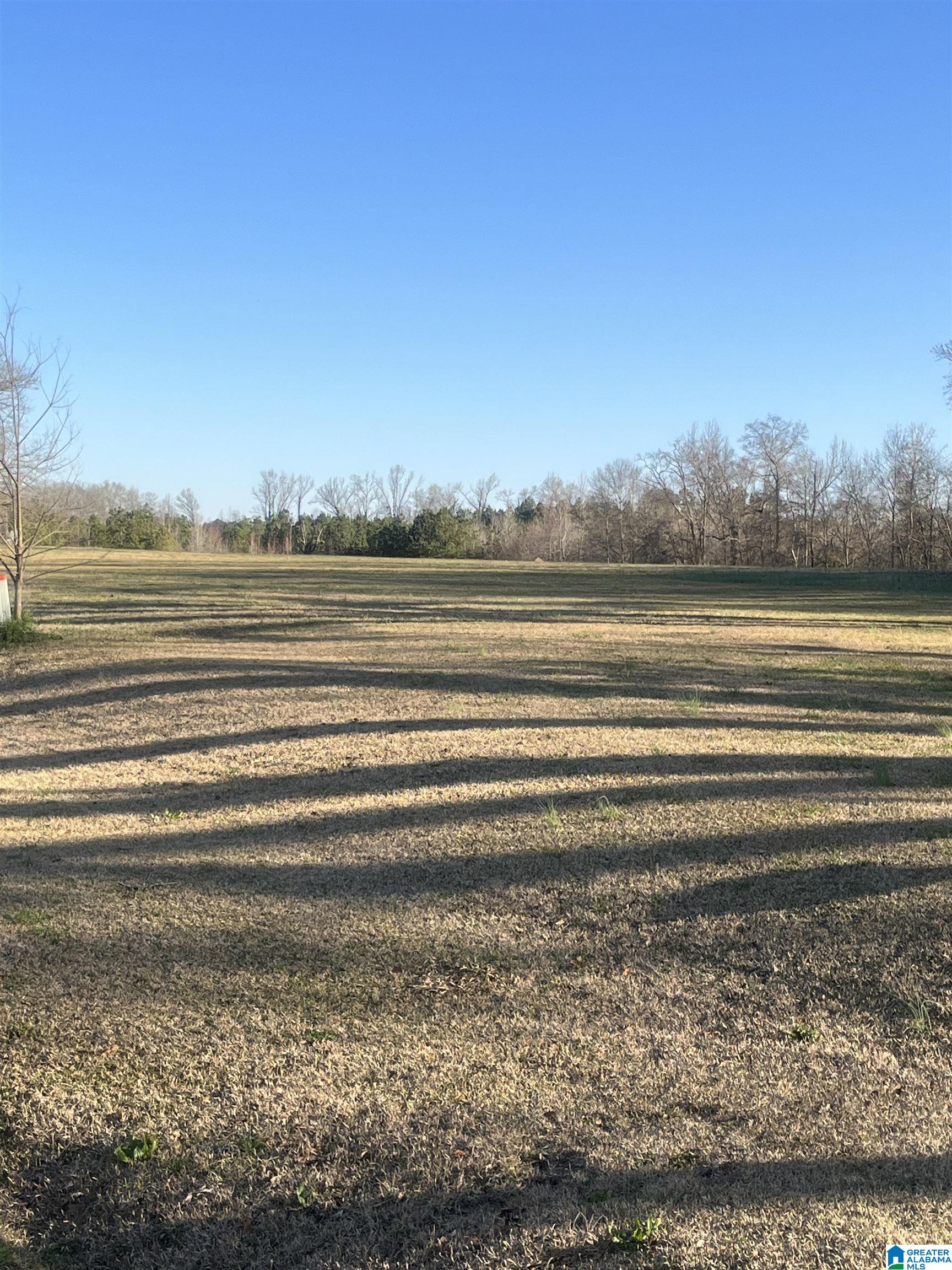 2778 County Road 13 Clanton, AL 35045 - Photo 1 of 3