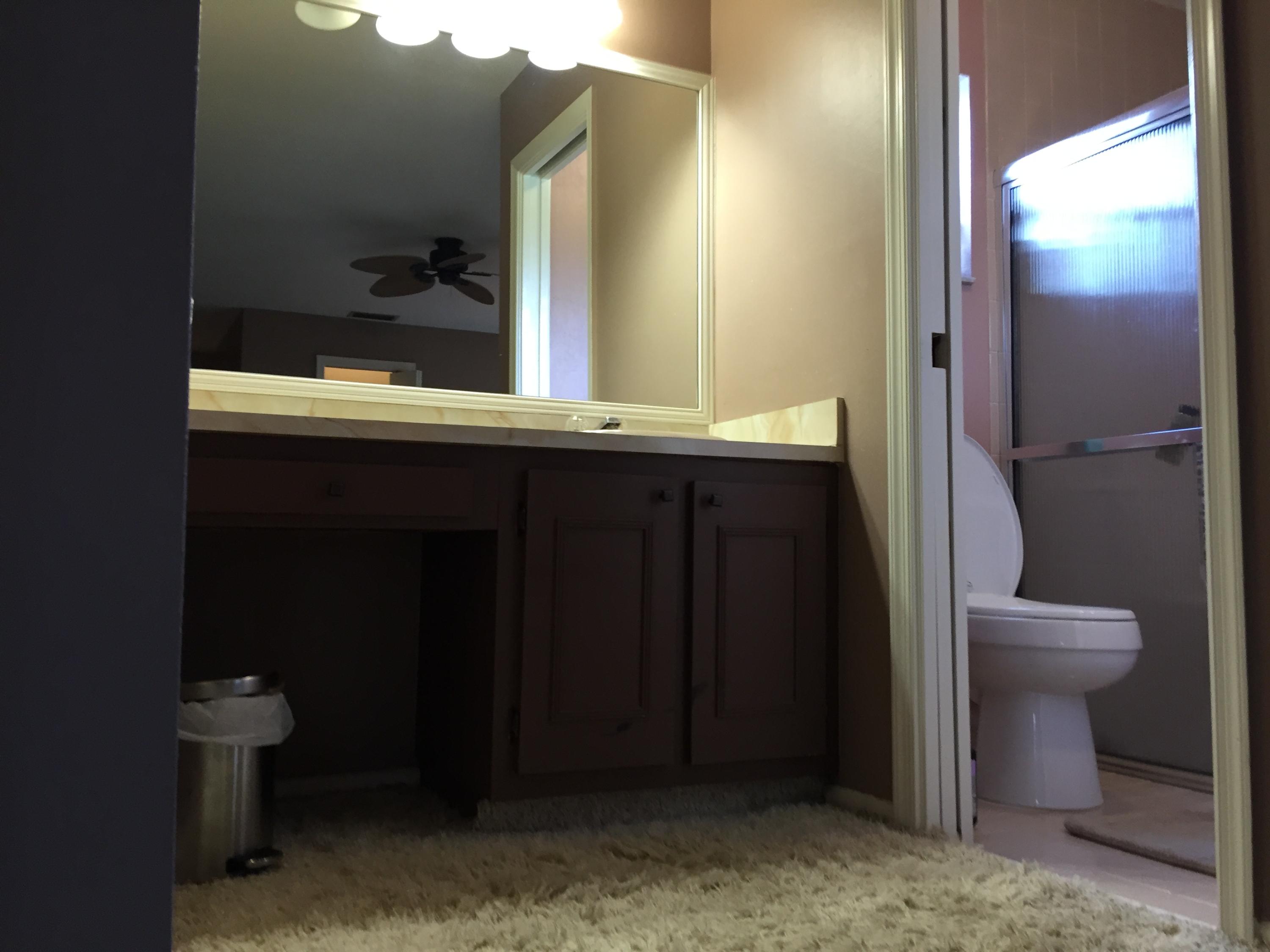 22606 Southwest 6th Street Boca Raton, FL 33433 - Photo 14 of 15 Master Bath