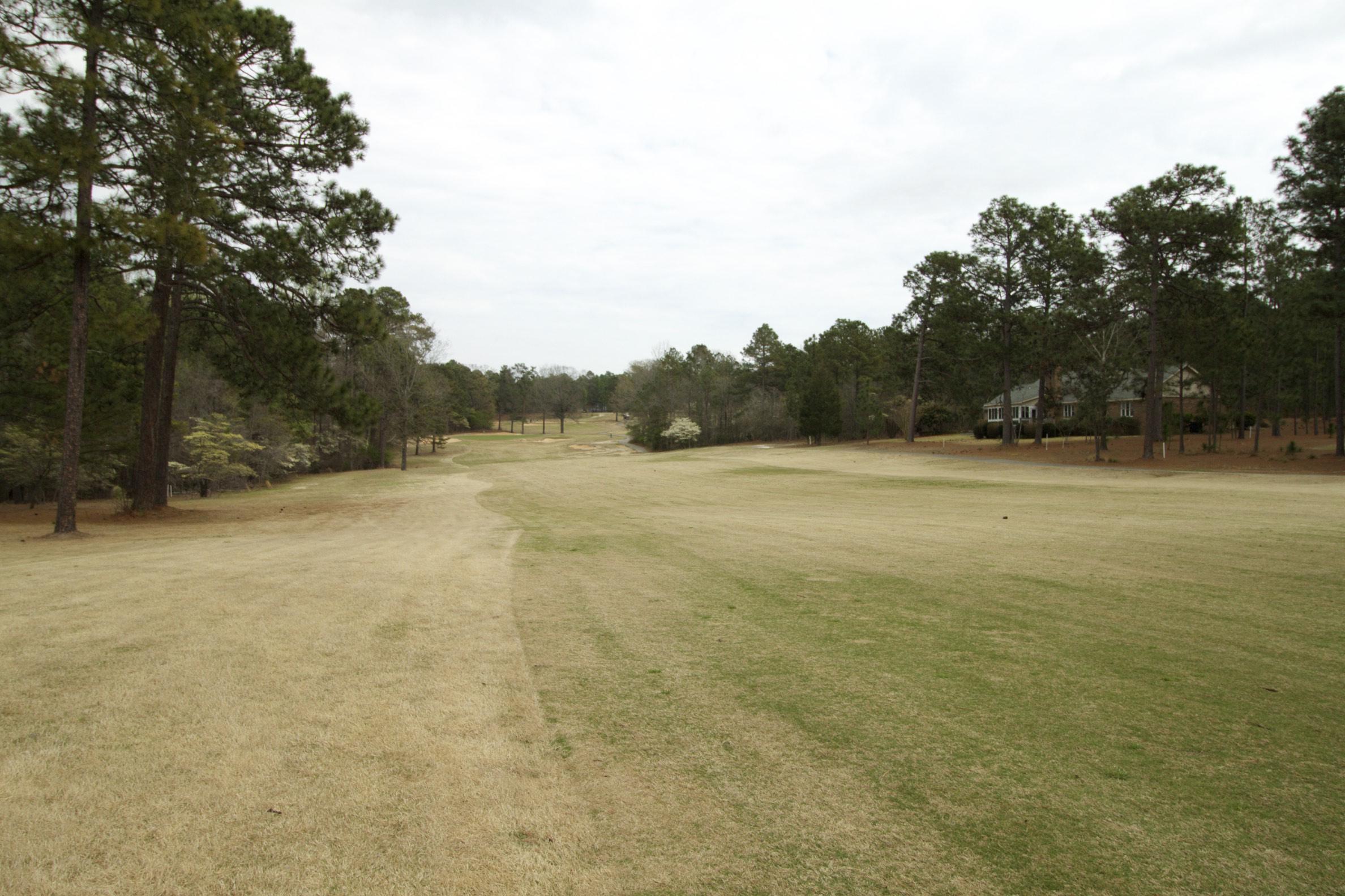 29 Ridge Road Jackson Springs, NC 27281 - Photo 20 of 41 Golf view