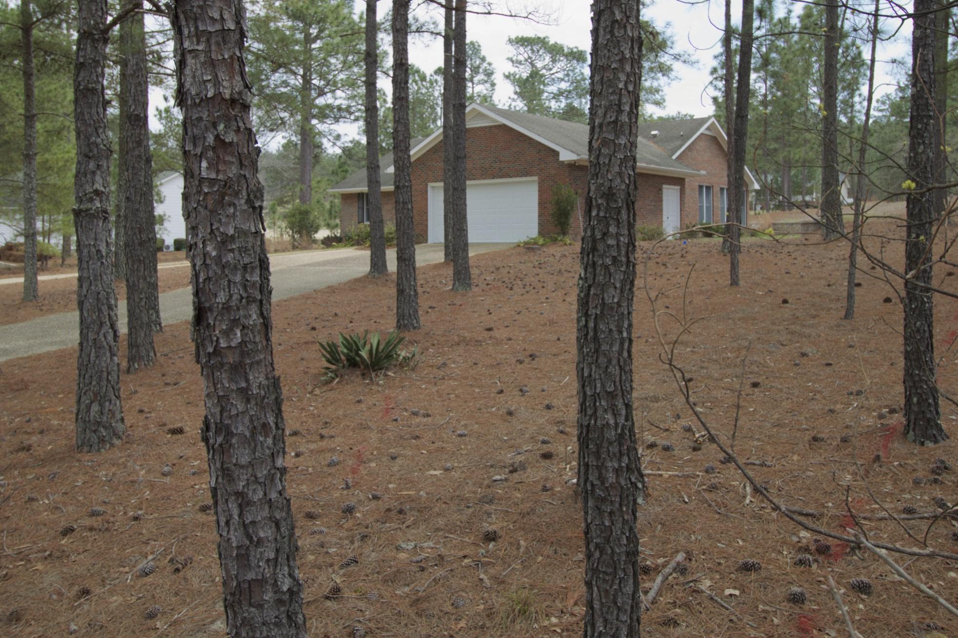 29 Ridge Road Jackson Springs, NC 27281 - Photo 6 of 41 Large Lot