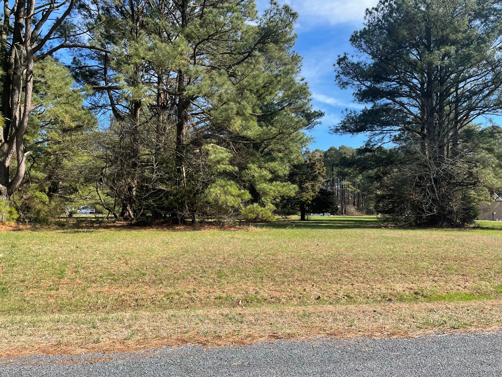Lot 302 Underway Road, Unit 302 Greenbackville, VA 23356 - Photo 2 of 4