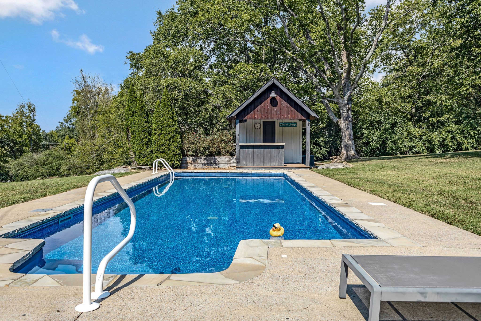 1358 Hunter Road Franklin, TN 37064 - Photo 42 of 47 a view of backyard with swimming pool and seating area