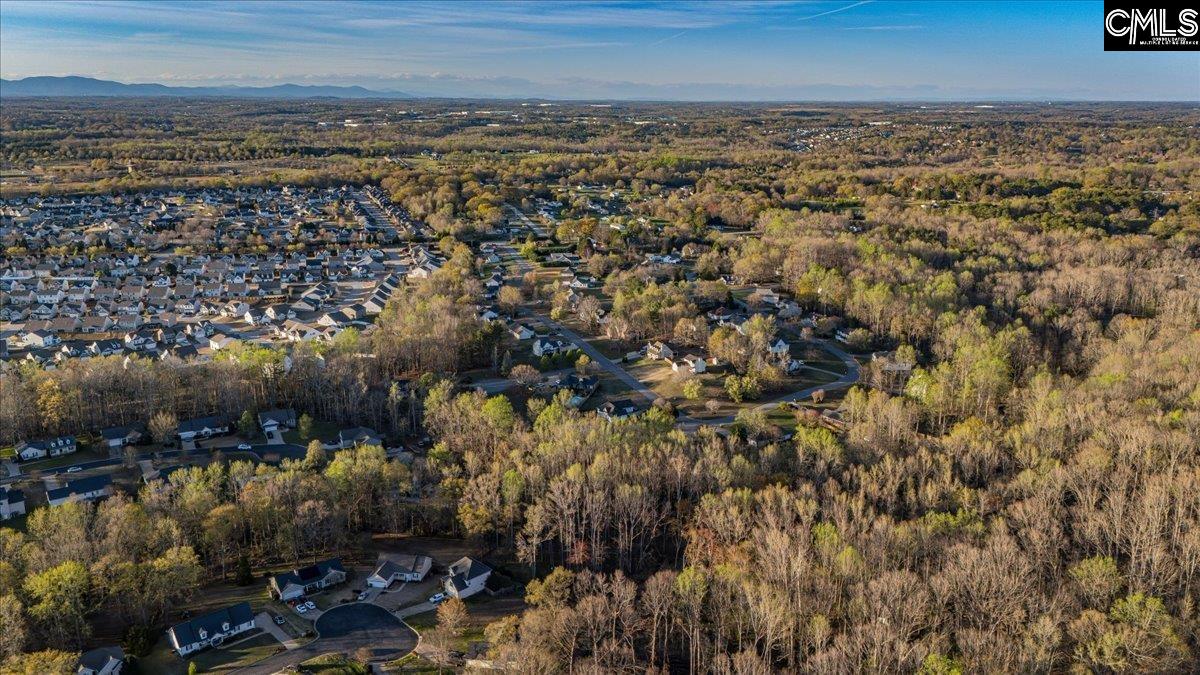 420 Lightwood Farm Road Woodruff, SC 29388 - Photo 5 of 12