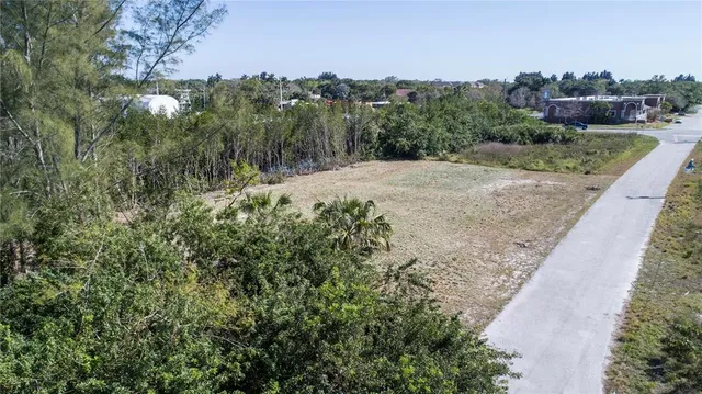 a view of a backyard with plants