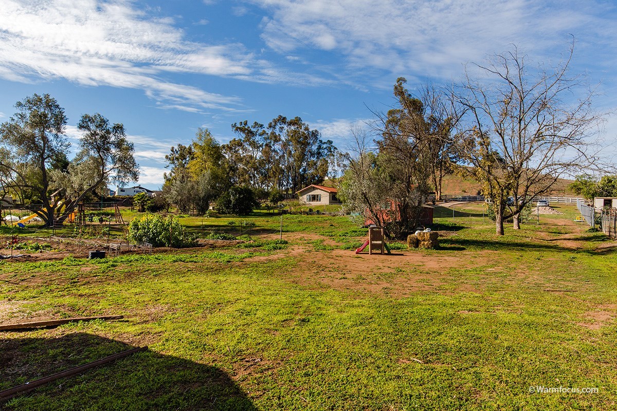 13917 Maxfield Road Jamul, CA 91935 - Photo 22 of 25 View from the back of the property looking towards the house