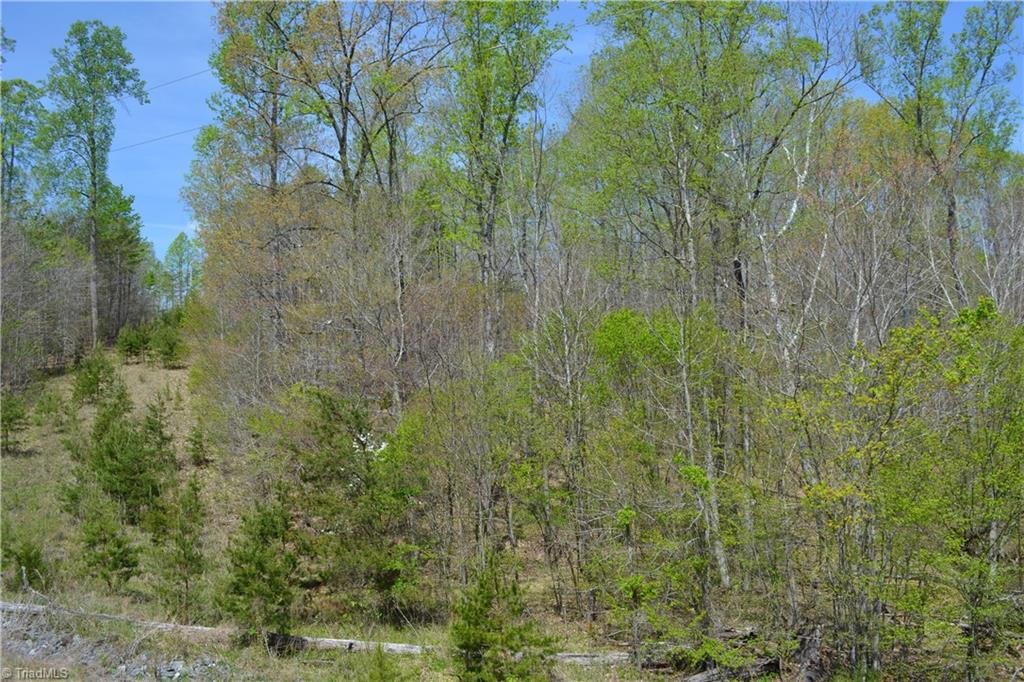 0 Barham Road Madison, NC 27025 - Photo 1 of 7