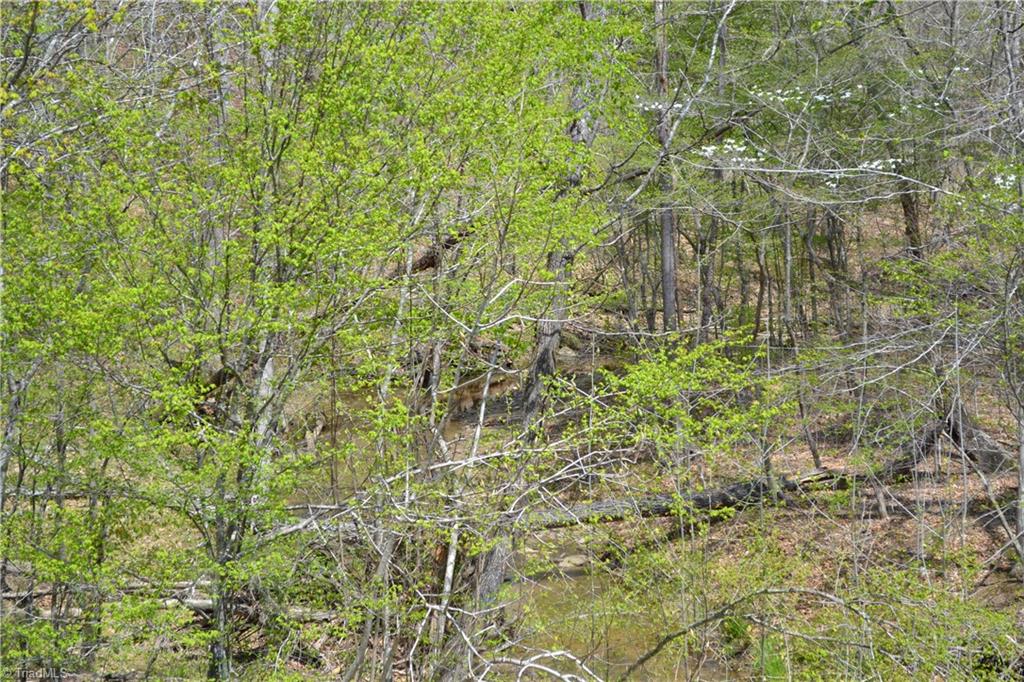 0 Barham Road Madison, NC 27025 - Photo 2 of 7
