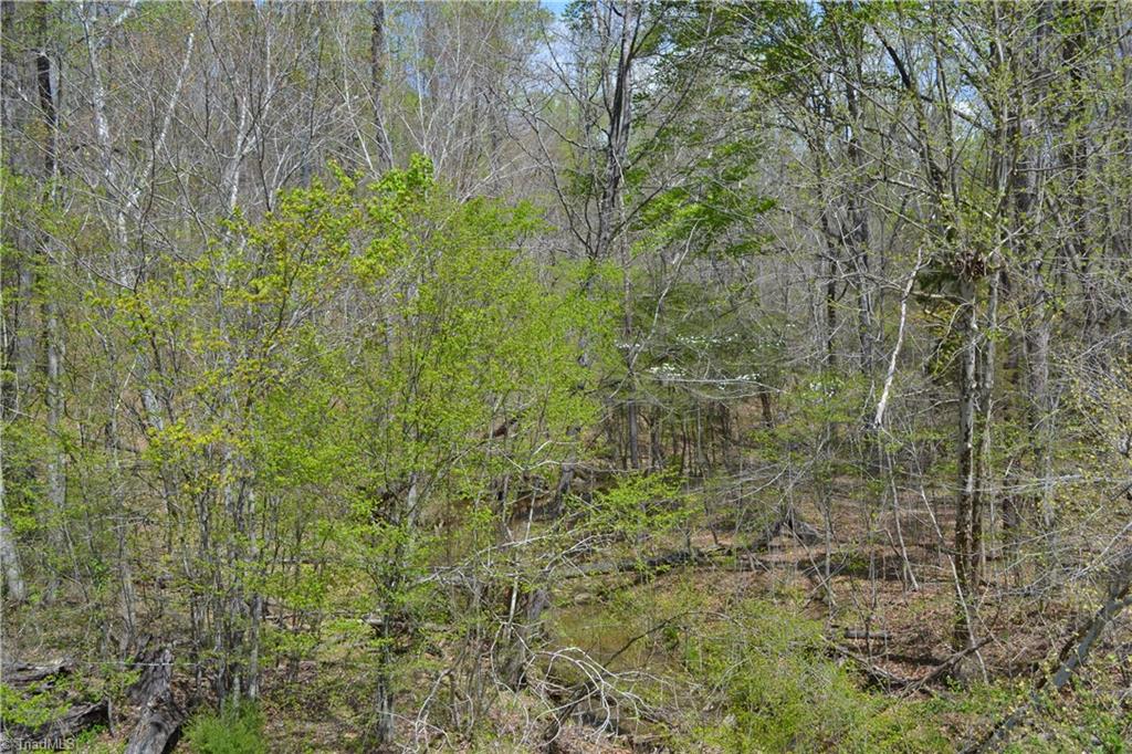 0 Barham Road Madison, NC 27025 - Photo 3 of 7