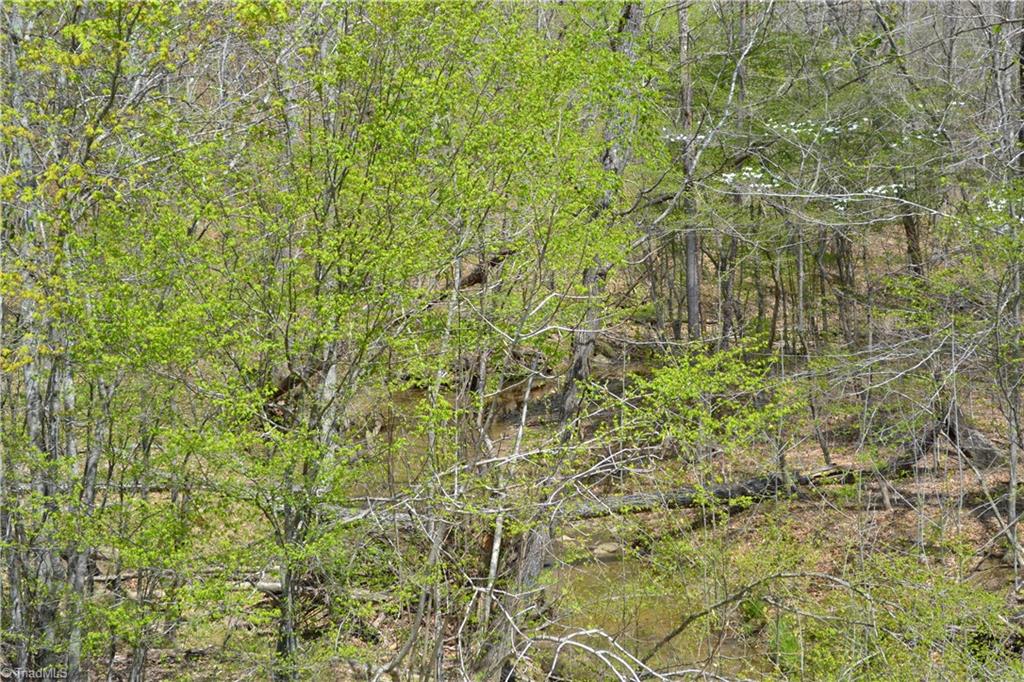 0 Barham Road Madison, NC 27025 - Photo 4 of 7