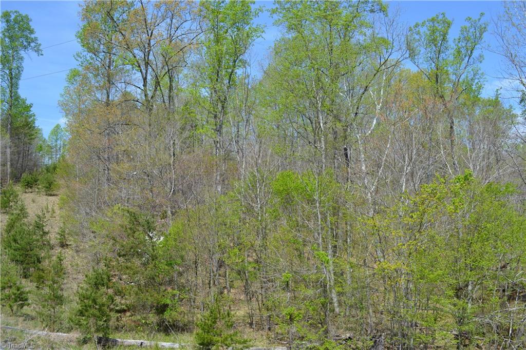 0 Barham Road Madison, NC 27025 - Photo 5 of 7