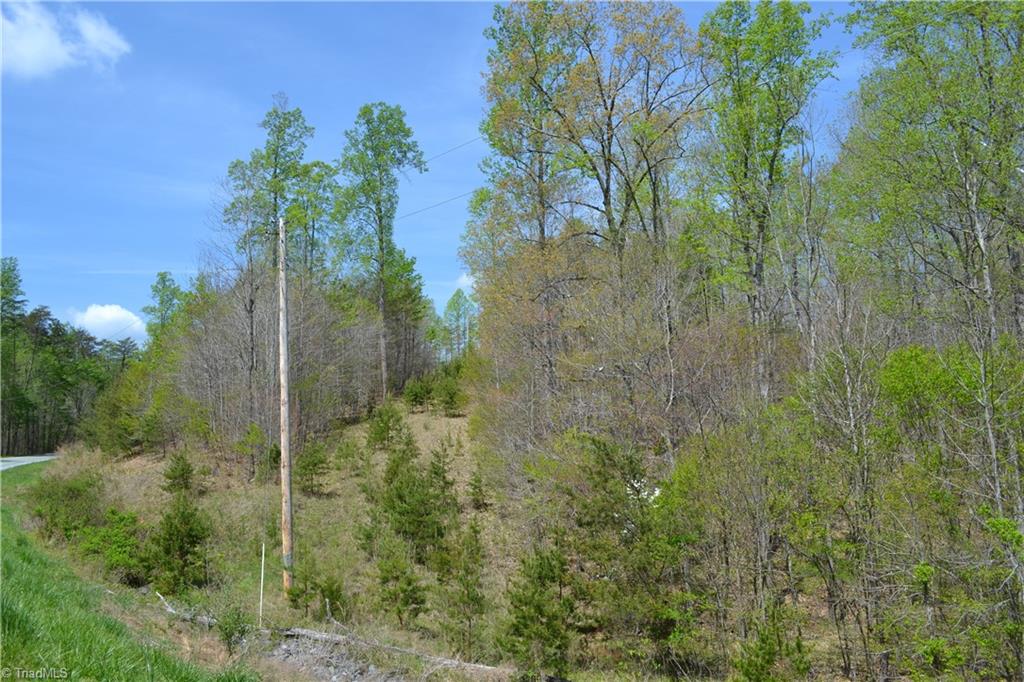 0 Barham Road Madison, NC 27025 - Photo 6 of 7