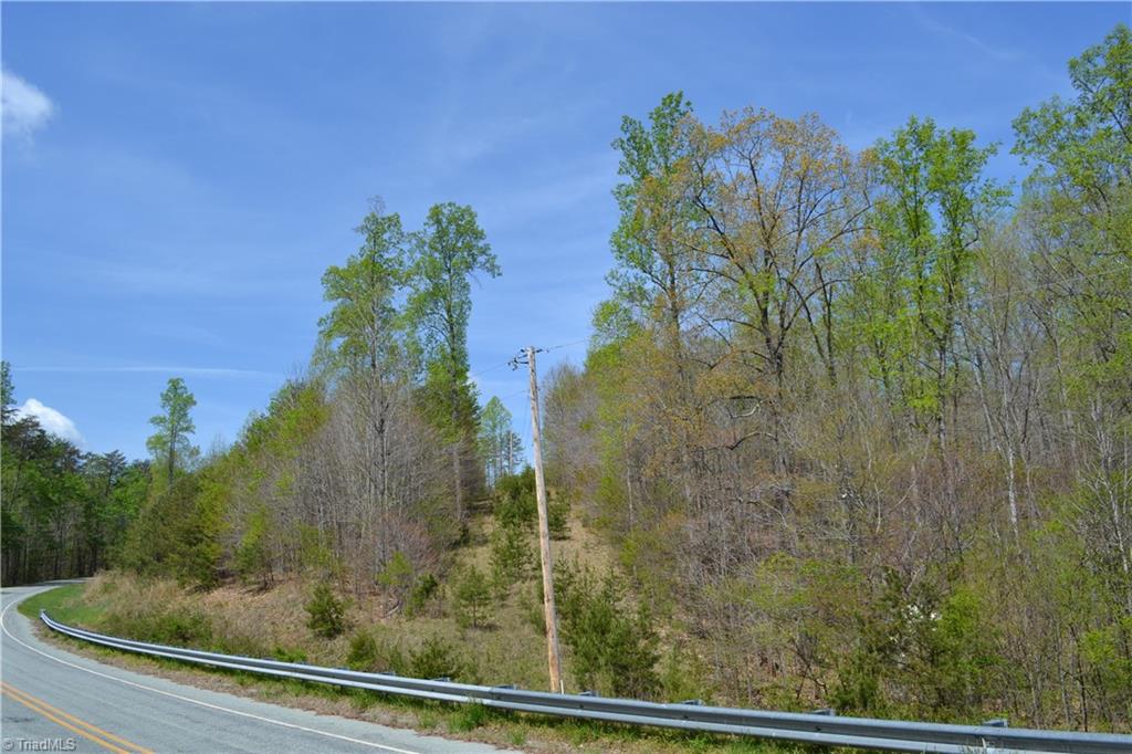 0 Barham Road Madison, NC 27025 - Photo 7 of 7