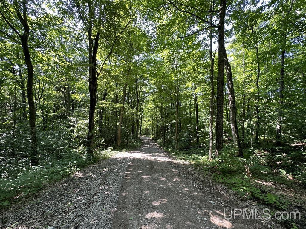 0 Cemetery Road Munising, MI 49862 - Photo 24 of 34 Gallery Image 24