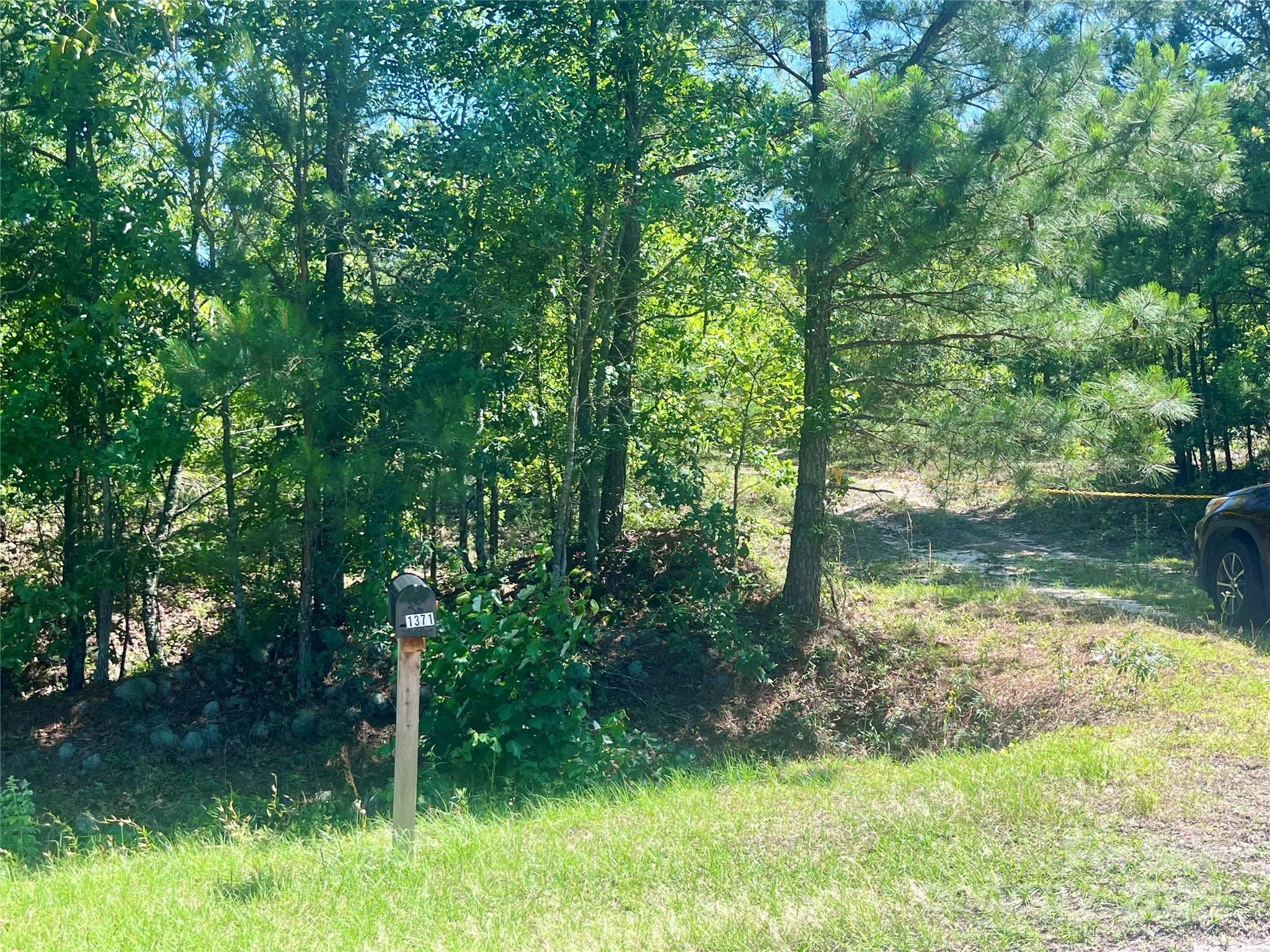 1371 Jones Road Kershaw, SC 29067 - Photo 4 of 10 Gallery Image 4