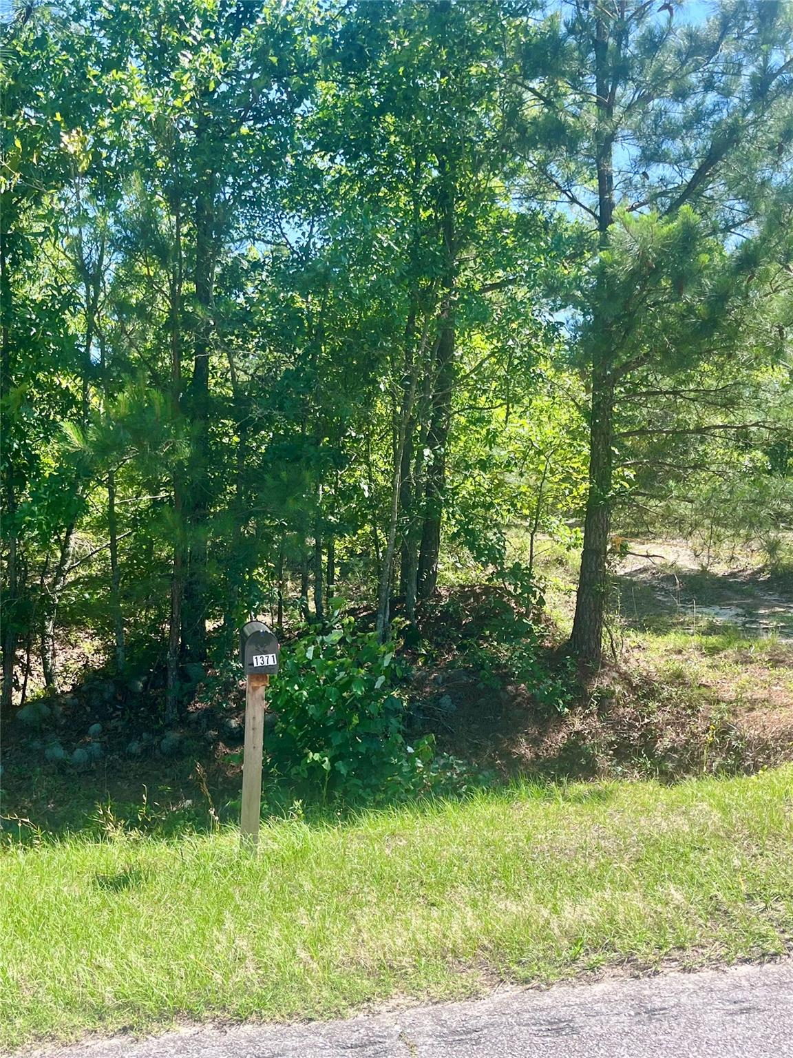 1371 Jones Road Kershaw, SC 29067 - Photo 5 of 10 Gallery Image 5