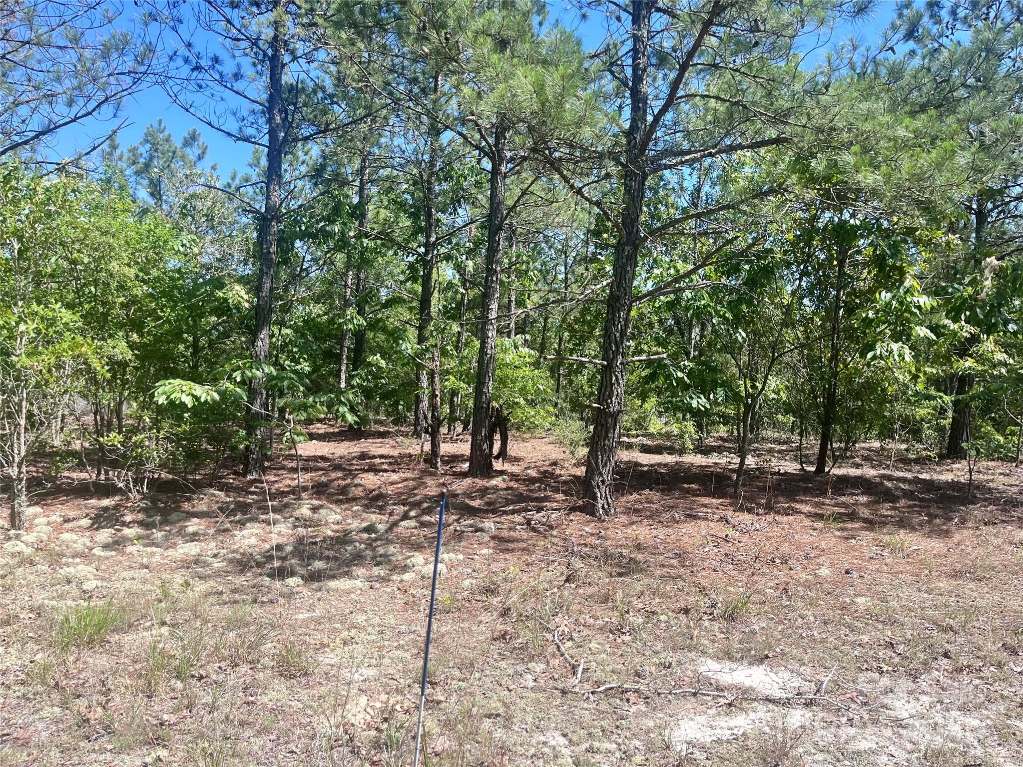 1371 Jones Road Kershaw, SC 29067 - Photo 6 of 10 Gallery Image 6