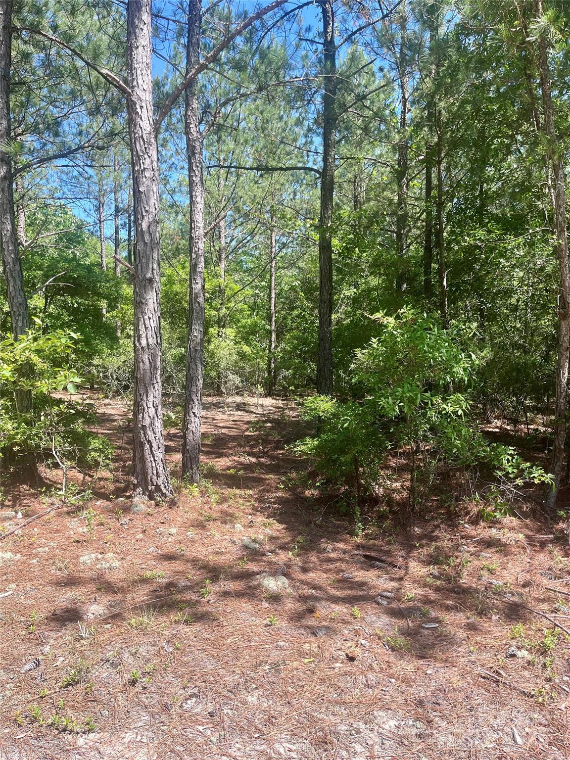 1371 Jones Road Kershaw, SC 29067 - Photo 8 of 10 Gallery Image 8