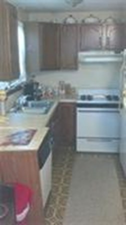 252 Mott Street Fall River, MA 02721 - Photo 4 of 4 a close view of stove cabinets