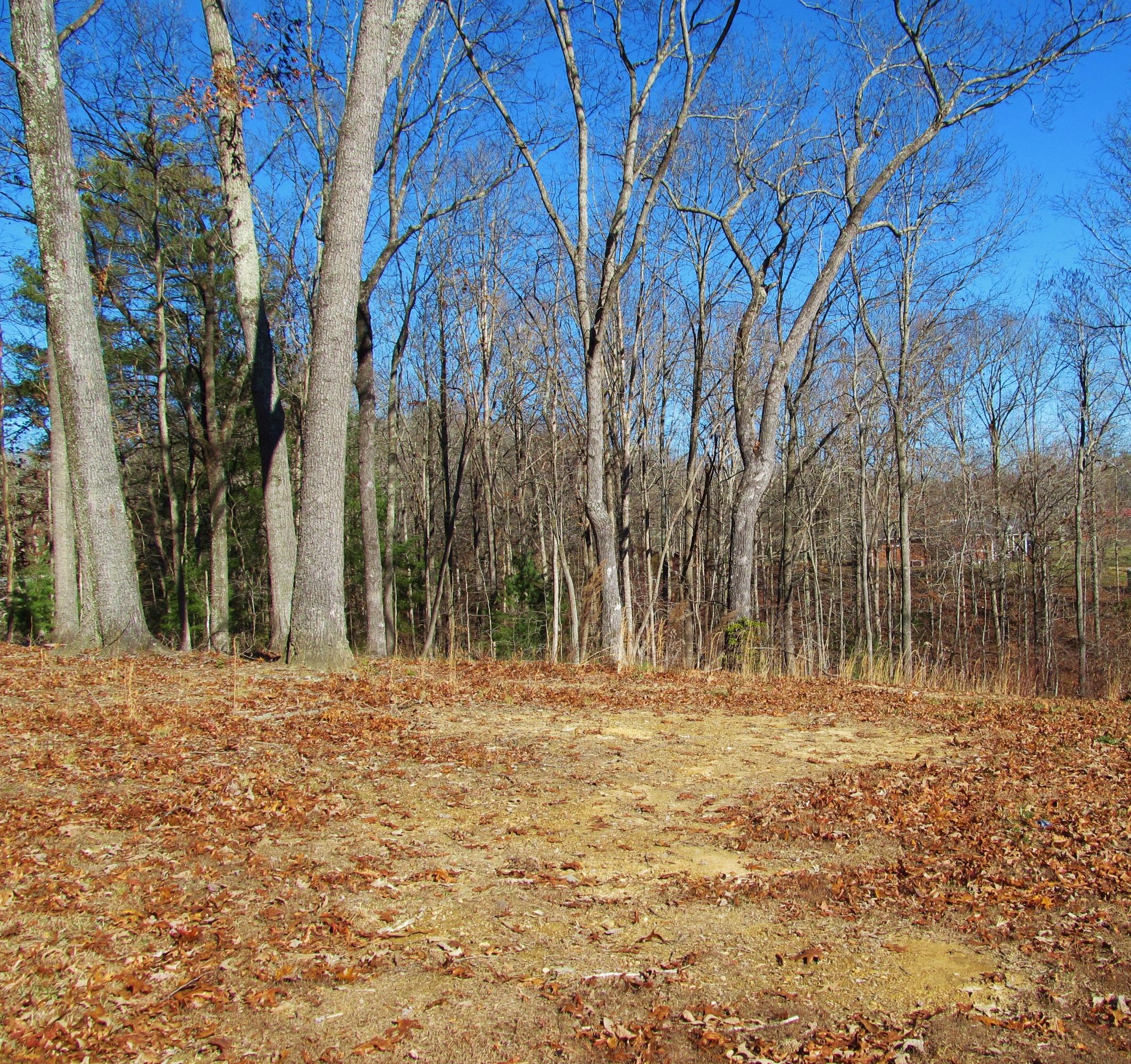 336 Montgomery Road Lancing, TN 37770 - Photo 32 of 38 IMG_4095
