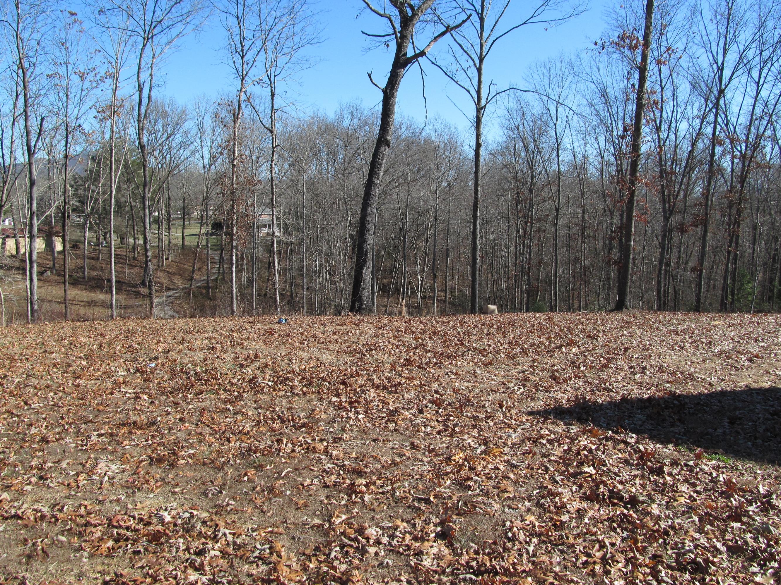 336 Montgomery Road Lancing, TN 37770 - Photo 33 of 38 IMG_4096
