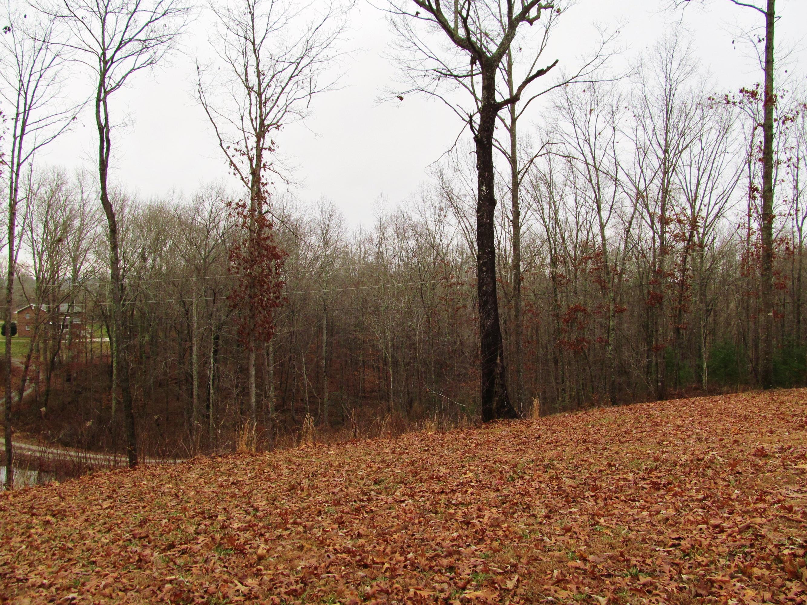 336 Montgomery Road Lancing, TN 37770 - Photo 34 of 38 IMG_4159